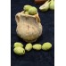Mystery of the trees: Olive Tree