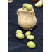 Mystery of the trees: Olive Tree