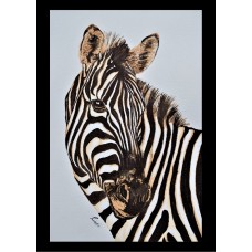 Sticker -Zebra W2