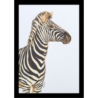 Sticker - Zebra W3 Sticker - Zebra W3