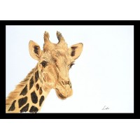 Sticker - Giraffe W4